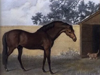 A G Sire