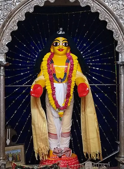 Amalendu Misra