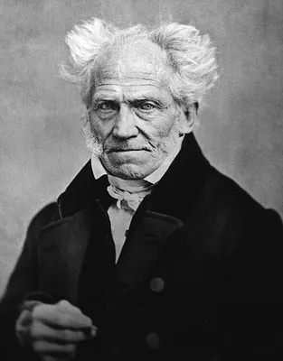 Arthur Schopenhauer Julius Frauenst Dt