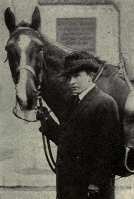 Comfort, Will Levington