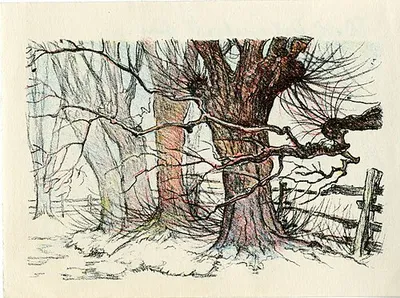 Crownfield, Gertrude