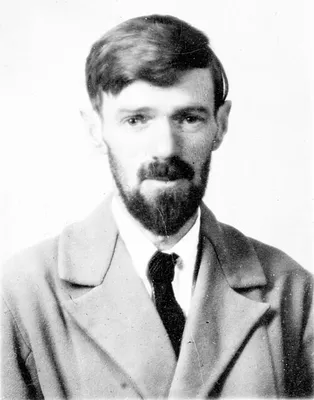 D H Lawrence