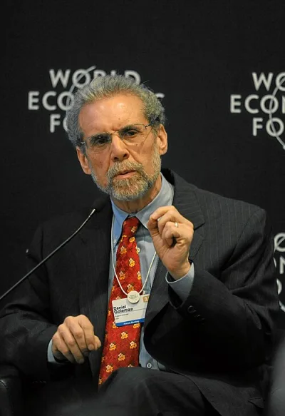 Daniel Goleman Richard J Davidson