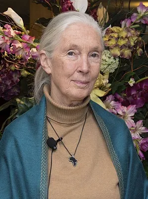 Jane Goodall Douglas Abrams