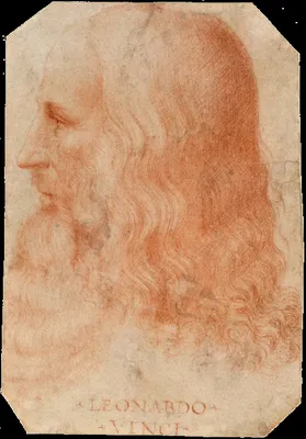 Leo Vinci