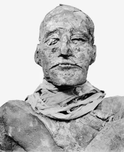 Naguib Kanawati
