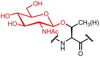 Stephanie Wellen Levine