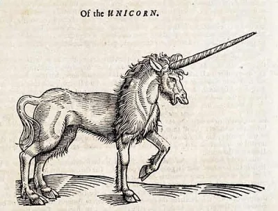 unicorn book
