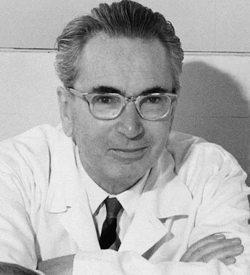 Viktor E Frankl