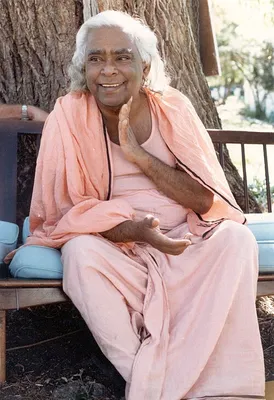 Vishnudevananda Swami.
