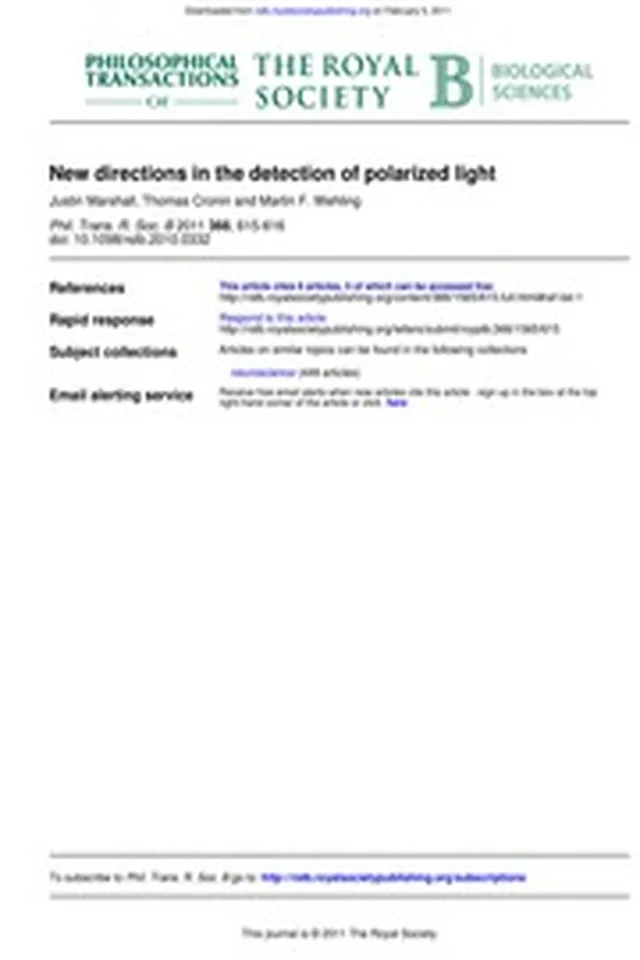 DTIC ADA537189: New Directions in the Detection of Polarized Light