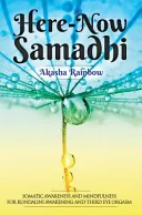 Here-Now Samadhi — 
