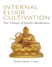 Internal Elixir Cultivation: The Nature of Daoist Meditation