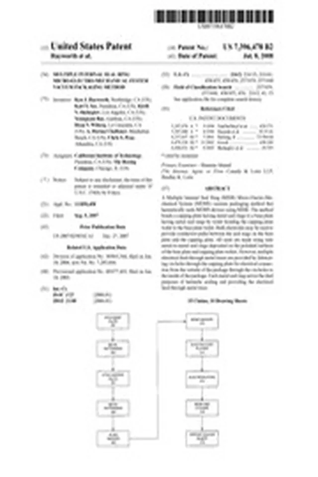 NASA Technical Reports Server (NTRS) 20090002641: Multiple internal seal ring micro-electro-mechanical system vacuum packaging method