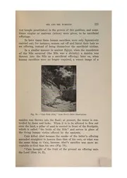 Sex Worship Wall Ritual Human Sacrifice Druids nwo illuminati freemasons