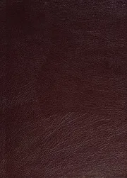 The new interpreter's study Bible : New Revised Standard Version with the Apocrypha