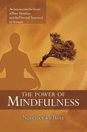 The Power of Mindfulness — 