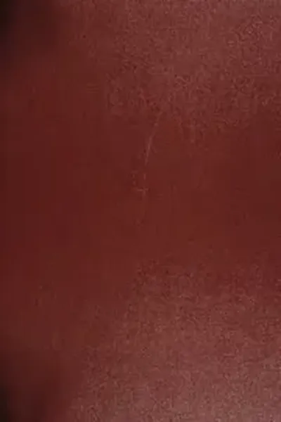 A. E Waite The Hermetic And Alchemical Writings Of Paracelsus Vol II 1894