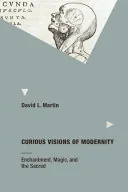 Curious Visions of Modernity