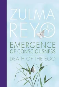 Emergence of Consciousness