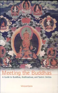 Meeting the Buddhas