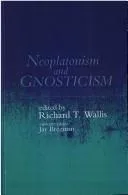 Neoplatonism and Gnosticism (Studies in Neoplatonism:  Ancient and Modern, Volume 6)