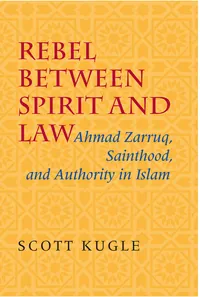 Rebel Between Spirit and Law