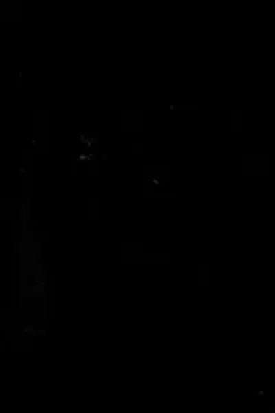 The soul of the Bible : being selections from the Old and the New Testaments and the Apocrypha