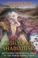 Visionary Shamanism — 