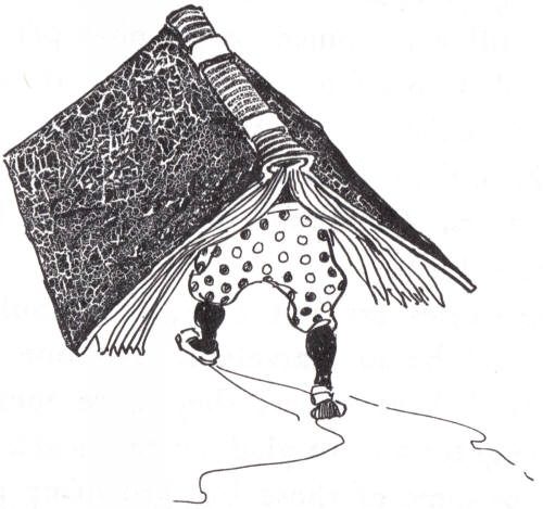 The reader and the book