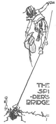 Timtom crosses the spider's bridge