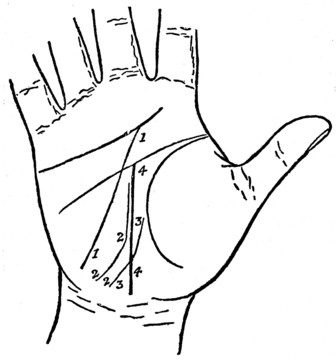 Plate XII. THE LINE OF DESTINY AND ITS VARIATIONS.
