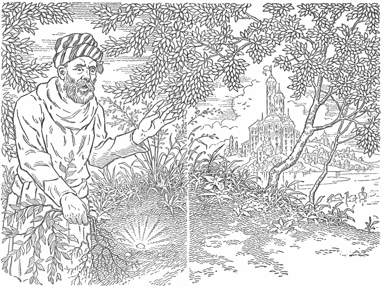 A picture of a man walking into a wooded glade with one hand brushing away a tree branch and another hand holding a small plant he just uprooted from underfoot. He has a suprised look on his bearded face. To the left of the man and behind him is a lake with three swans, and a castle is visible on the other shore of the lake.
