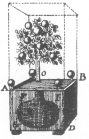 Diagram of the orange-tree trick, from Wiegleb’s “The Natural Magic,” published in 1794.