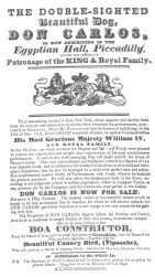 Billing used for Don Carlos, the double-sighted dog. From the Harry Houdini Collection.