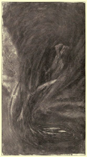 The demon dives down from the mountain top