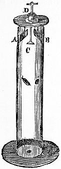 tube with guinea and feather