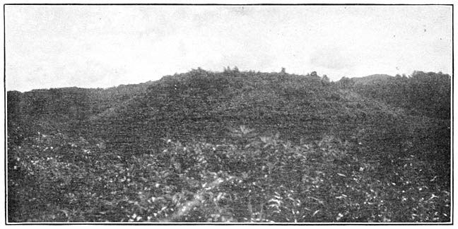 Indian Mound, Franklin, N. C.