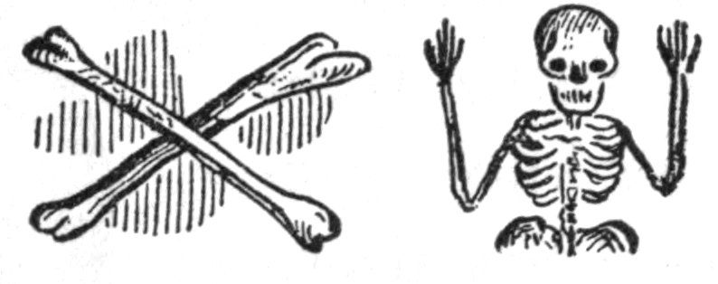 Crossed bones and skeleton