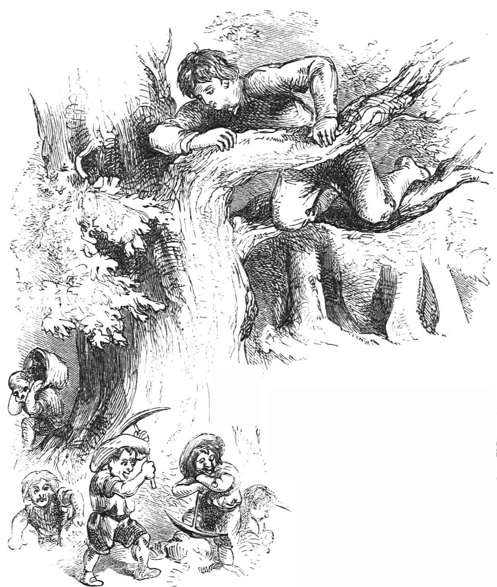 Ernest and the Gnomes